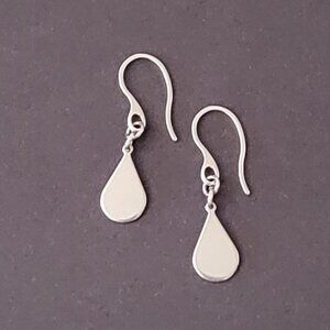 TEARDROP Stainless Steel HOOK Earrings Minimalist